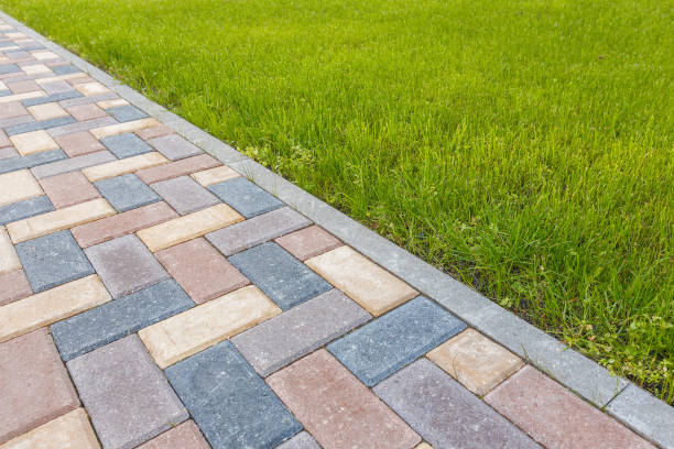 Best Decorative Driveway Pavers  in Naco, AZ